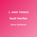 1. Sınıf Türkçe Sesli Harfler Konu Anlatımı