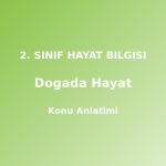 2. Sınıf Doğada Hayat Konu Anlatımı