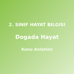 2. Sınıf Doğada Hayat Konu Anlatımı