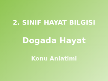 2. Sınıf Doğada Hayat Konu Anlatımı