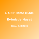 2. Sınıf Evimizde Hayat Konu Anlatımı