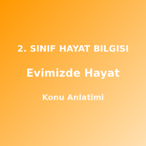 2. Sınıf Evimizde Hayat Konu Anlatımı