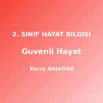 2. Sınıf Güvenli Hayat Konu Anlatımı