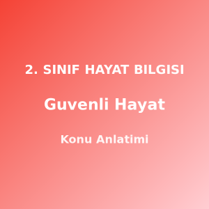 2. Sınıf Güvenli Hayat Konu Anlatımı