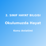 2. Sınıf Okulumuzda Hayat Konu Anlatımı