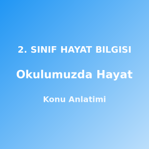2. Sınıf Okulumuzda Hayat Konu Anlatımı