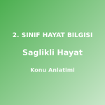 2. Sınıf Sağlıklı Hayat Konu Anlatımı