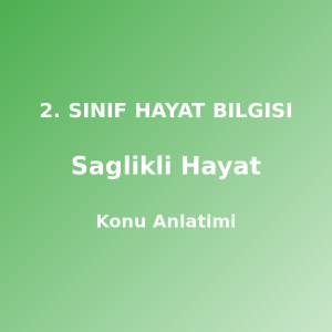 2. Sınıf Sağlıklı Hayat Konu Anlatımı