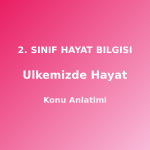 2. Sınıf Ülkemizde Hayat Konu Anlatımı