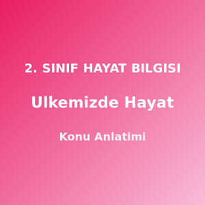 2. Sınıf Ülkemizde Hayat Konu Anlatımı