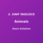 Animals (Hayvanlar) 2. Sınıf İngilizce Konu Anlatımı