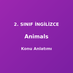 Animals (Hayvanlar) 2. Sınıf İngilizce Konu Anlatımı