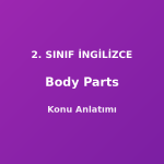 Body Parts (Vücut Bölümleri) 2. Sınıf İngilizce Konu Anlatımı