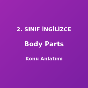 Body Parts (Vücut Bölümleri) 2. Sınıf İngilizce Konu Anlatımı
