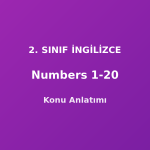 Numbers 1-20 (Sayılar) 2. Sınıf İngilizce Konu Anlatımı