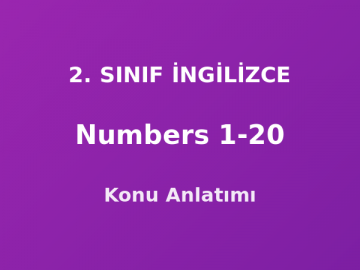 Numbers 1-20 (Sayılar) 2. Sınıf İngilizce Konu Anlatımı