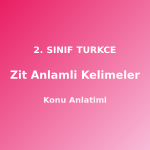 2. Sınıf Zıt Anlamlı Kelimeler Konu Anlatımı
