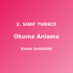 Okuma Anlama 2. Sınıf Türkçe Konu Anlatımı