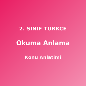 Okuma Anlama 2. Sınıf Türkçe Konu Anlatımı