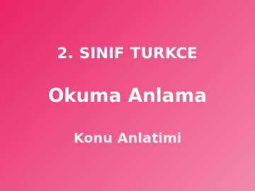 Okuma Anlama 2. Sınıf Türkçe Konu Anlatımı