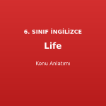 Life Konu Anlatımı 6. Sınıf İngilizce