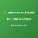 3. Sınıf Canlılar Dünyası Konu Anlatımı