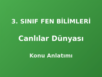 3. Sınıf Canlılar Dünyası Konu Anlatımı