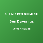 3. Sınıf Beş Duyumuz Konu Anlatımı
