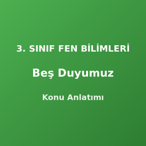 3. Sınıf Beş Duyumuz Konu Anlatımı