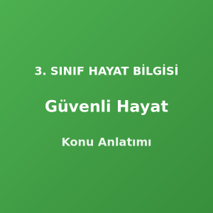 Güvenli Hayat 3. Sınıf Hayat Bilgisi Konu Anlatımı