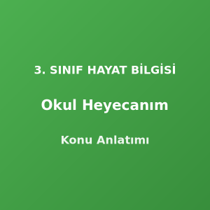 Okul Heyecanım 3. Sınıf Hayat Bilgisi Konu Anlatımı