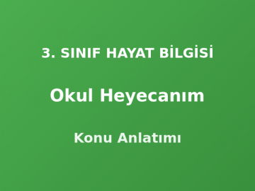 Okul Heyecanım 3. Sınıf Hayat Bilgisi Konu Anlatımı