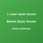 Benim Eşsiz Yuvam 3. Sınıf Hayat Bilgisi Konu Anlatımı