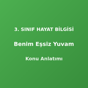 Benim Eşsiz Yuvam 3. Sınıf Hayat Bilgisi Konu Anlatımı