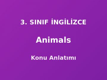 Animals (Hayvanlar) 3. Sınıf İngilizce Konu Anlatımı