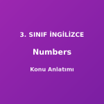 Numbers (Sayılar 1-100) 3. Sınıf İngilizce Konu Anlatımı