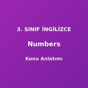 Numbers (Sayılar 1-100) 3. Sınıf İngilizce Konu Anlatımı
