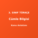 Cümle Bilgisi 3. Sınıf Türkçe Konu Anlatımı