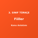 3. Sınıf Fiiller Konu Anlatımı