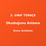 Okuduğunu Anlama 3. Sınıf Türkçe Konu Anlatımı