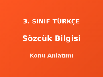 Sözcük Bilgisi 3. Sınıf Türkçe Konu Anlatımı
