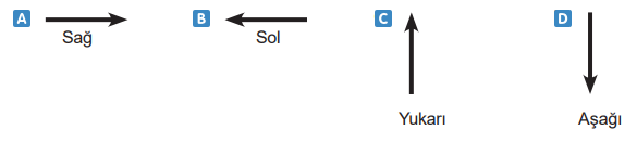 4. Sınıf Fen Bilimleri Kuvvetin Etkileri