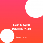 LGS'ye 6 Ayda Nasıl Hazırlanılır? Adım Adım Plan
