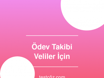 Ödev Takibi Veliler İçin Pratik İpuçları