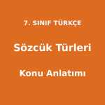 Sözcük Türleri - 7. Sınıf Türkçe Konu Anlatımı