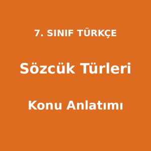 Sözcük Türleri - 7. Sınıf Türkçe Konu Anlatımı