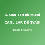 4. Sınıf Fen Bilimleri Canlılar Dünyası Konu Anlatımı
