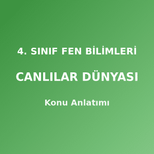 4. Sınıf Fen Bilimleri Canlılar Dünyası Konu Anlatımı