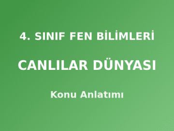 4. Sınıf Fen Bilimleri Canlılar Dünyası Konu Anlatımı