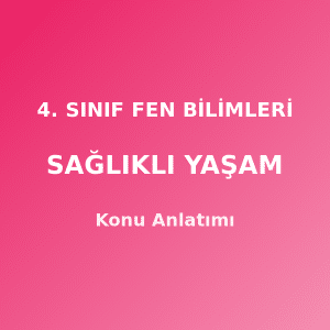4. Sınıf Fen Bilimleri Sağlıklı Yaşam Konu Anlatımı